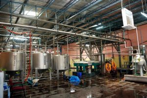 Amyra Food - Mango Pulp Machinery