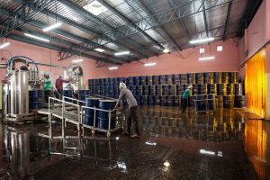 Amyra Food - Mango Pulp Manufacturer